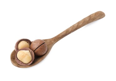 Photo of Spoon with macadamia nuts isolated on white