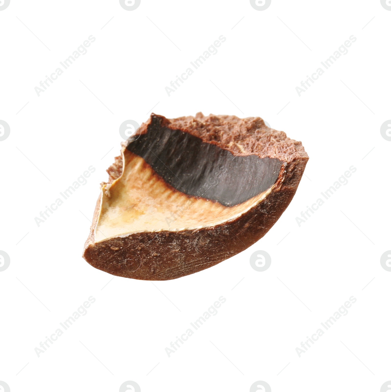 Photo of Piece of macadamia nut shell isolated on white