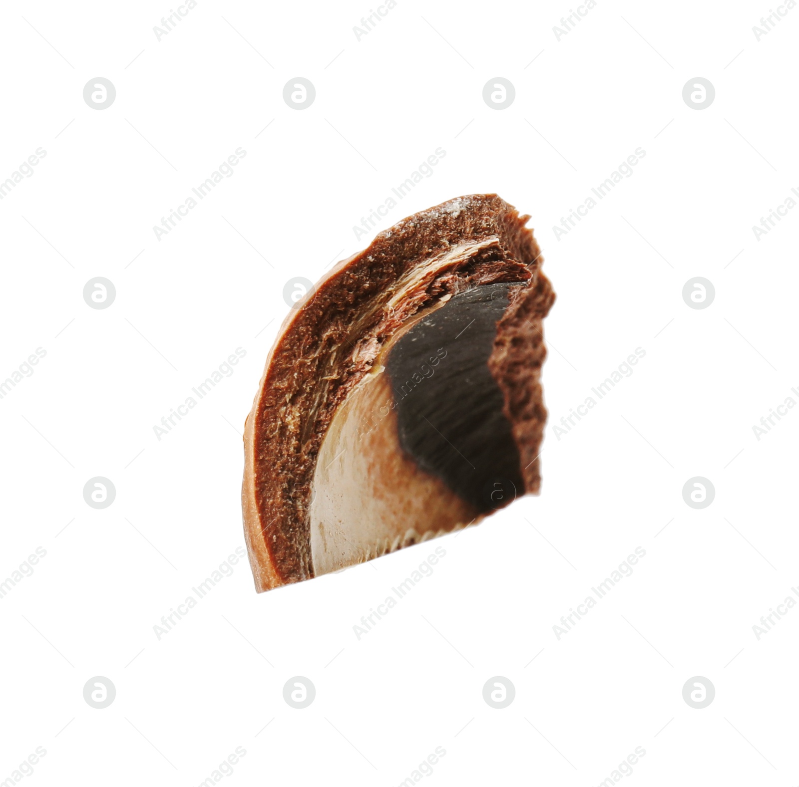 Photo of Piece of macadamia nut shell isolated on white