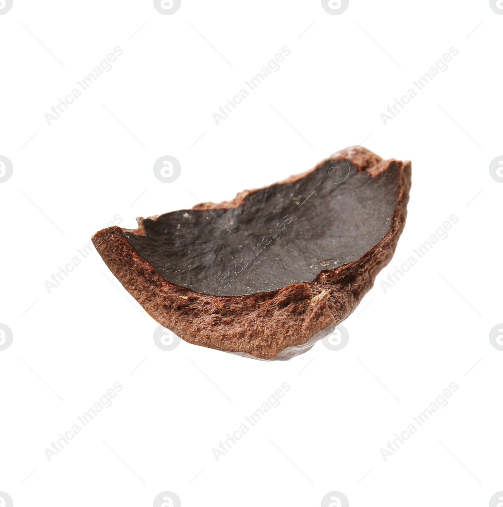 Photo of Piece of macadamia nut shell isolated on white