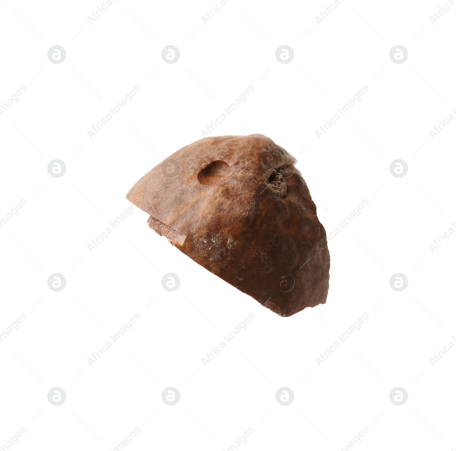 Photo of Piece of macadamia nut shell isolated on white