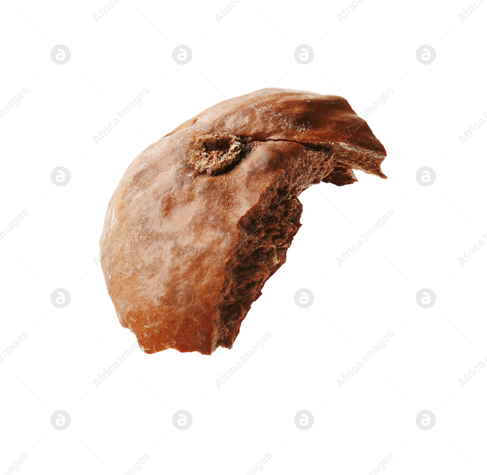 Photo of Piece of macadamia nut shell isolated on white