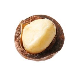 Photo of One macadamia nut with shell isolated on white