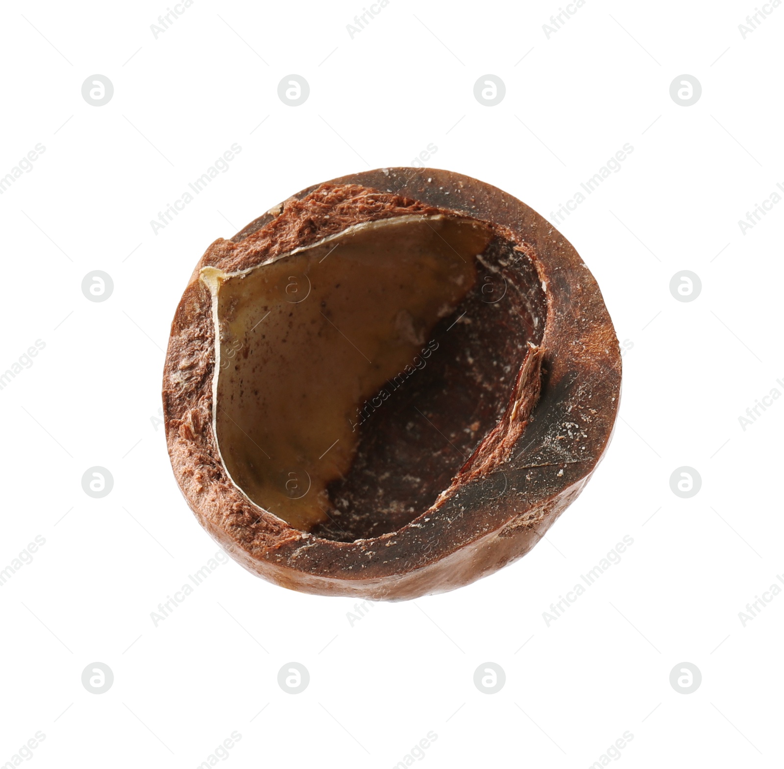 Photo of Part of macadamia nut shell isolated on white