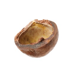 Photo of Part of macadamia nut shell isolated on white