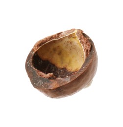 Photo of Part of macadamia nut shell isolated on white