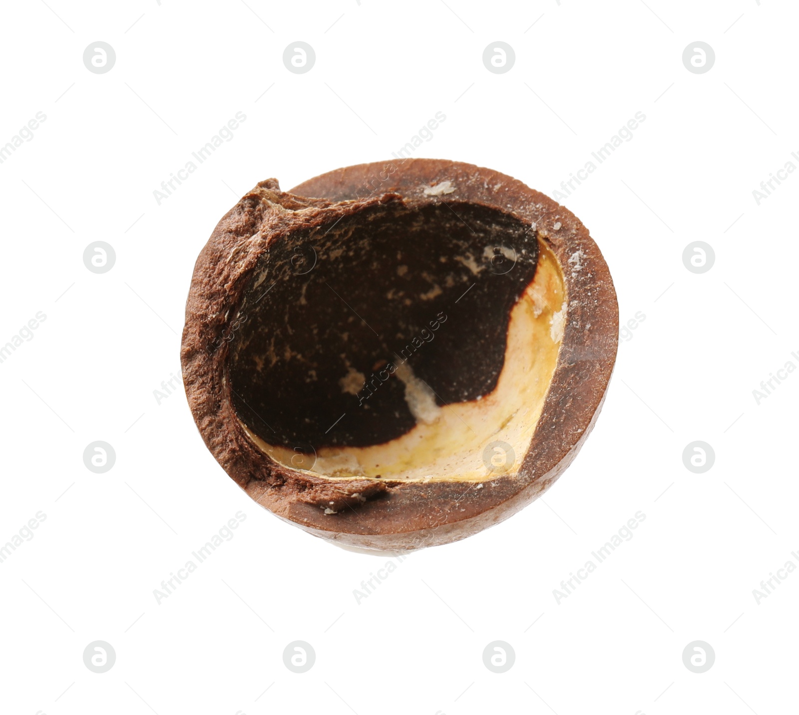 Photo of Part of macadamia nut shell isolated on white