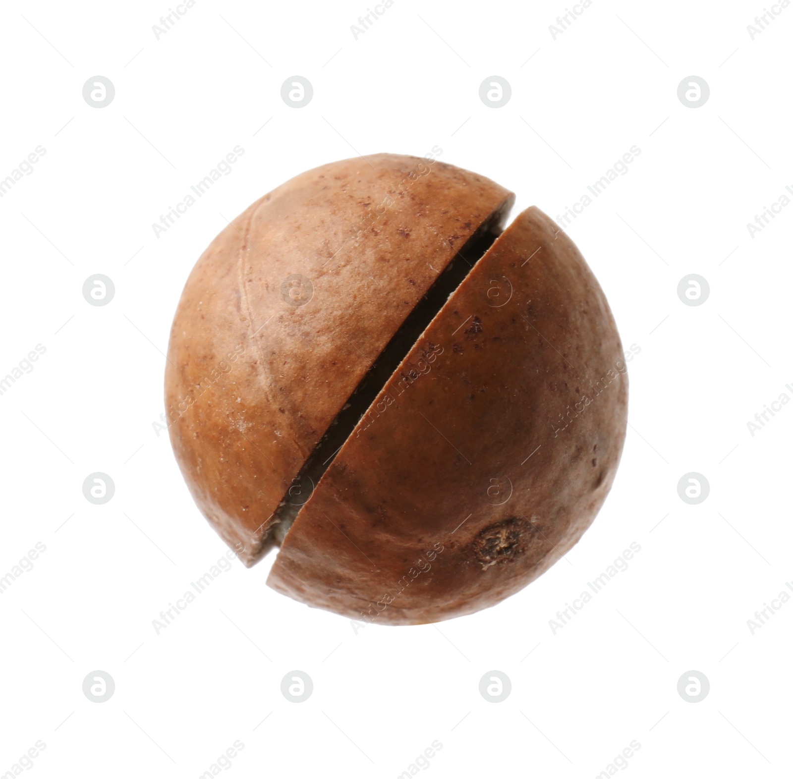 Photo of One whole macadamia nut isolated on white