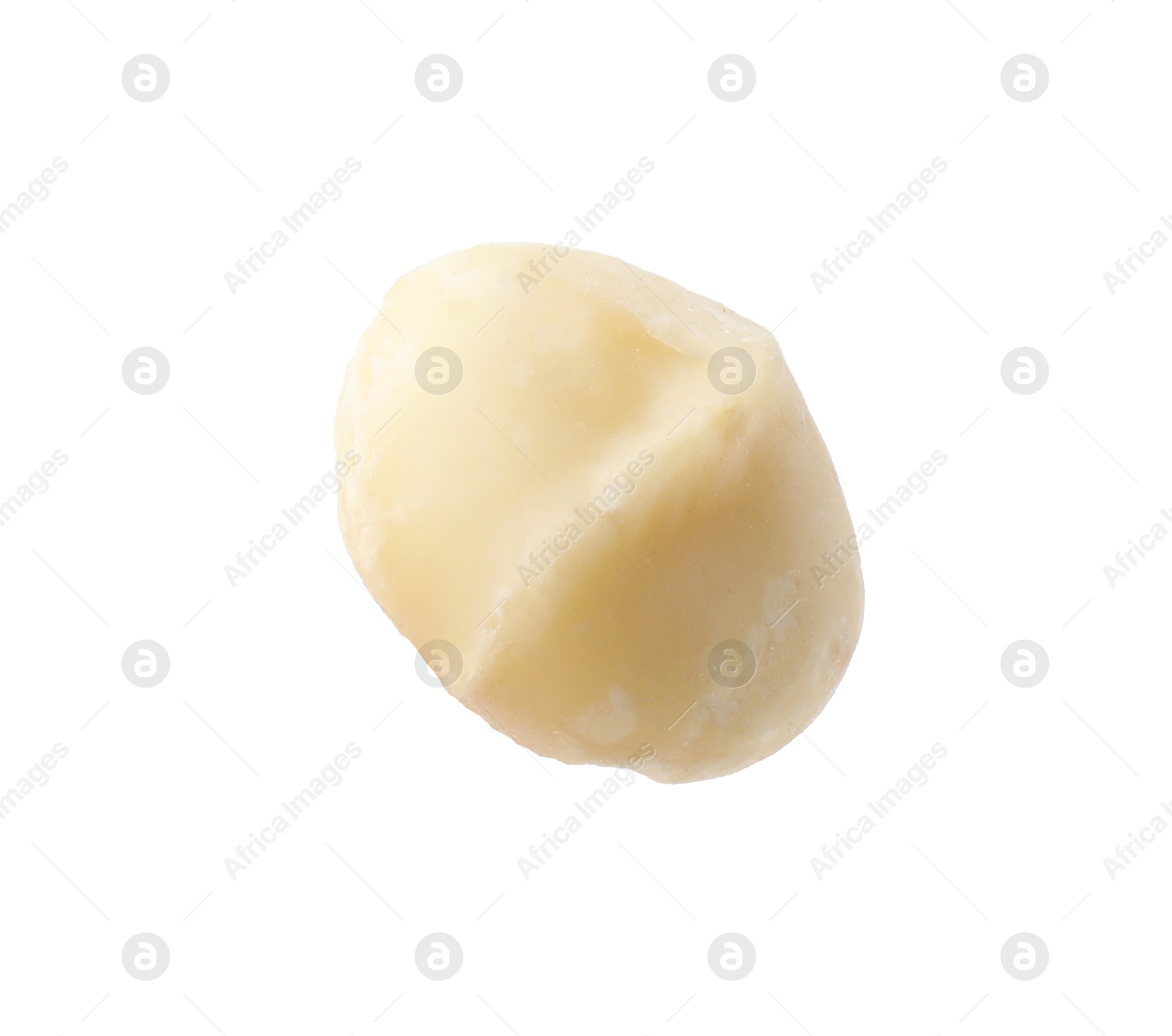 Photo of One peeled macadamia nut isolated on white