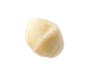 Photo of One peeled macadamia nut isolated on white