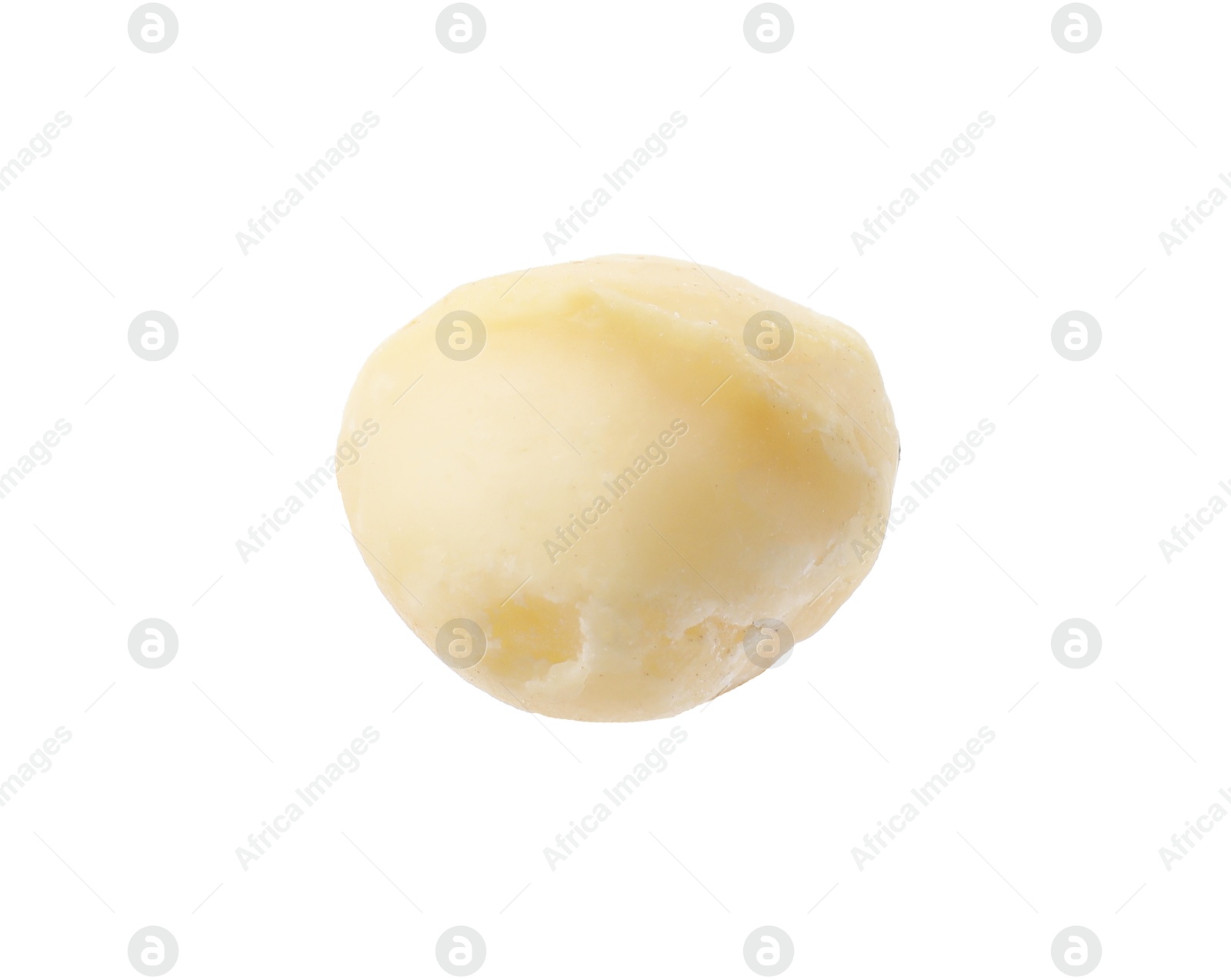 Photo of One peeled macadamia nut isolated on white