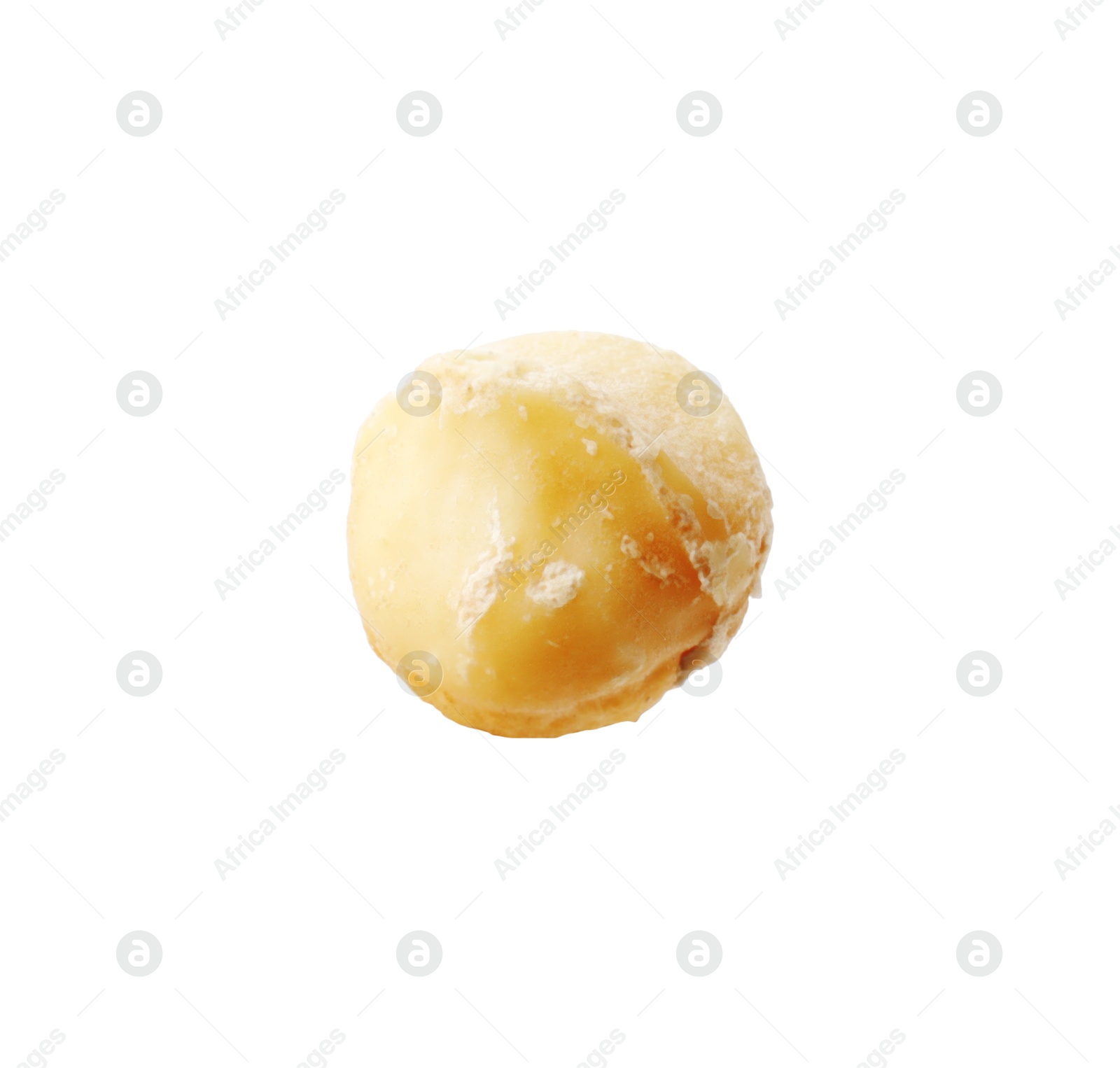 Photo of One peeled macadamia nut isolated on white