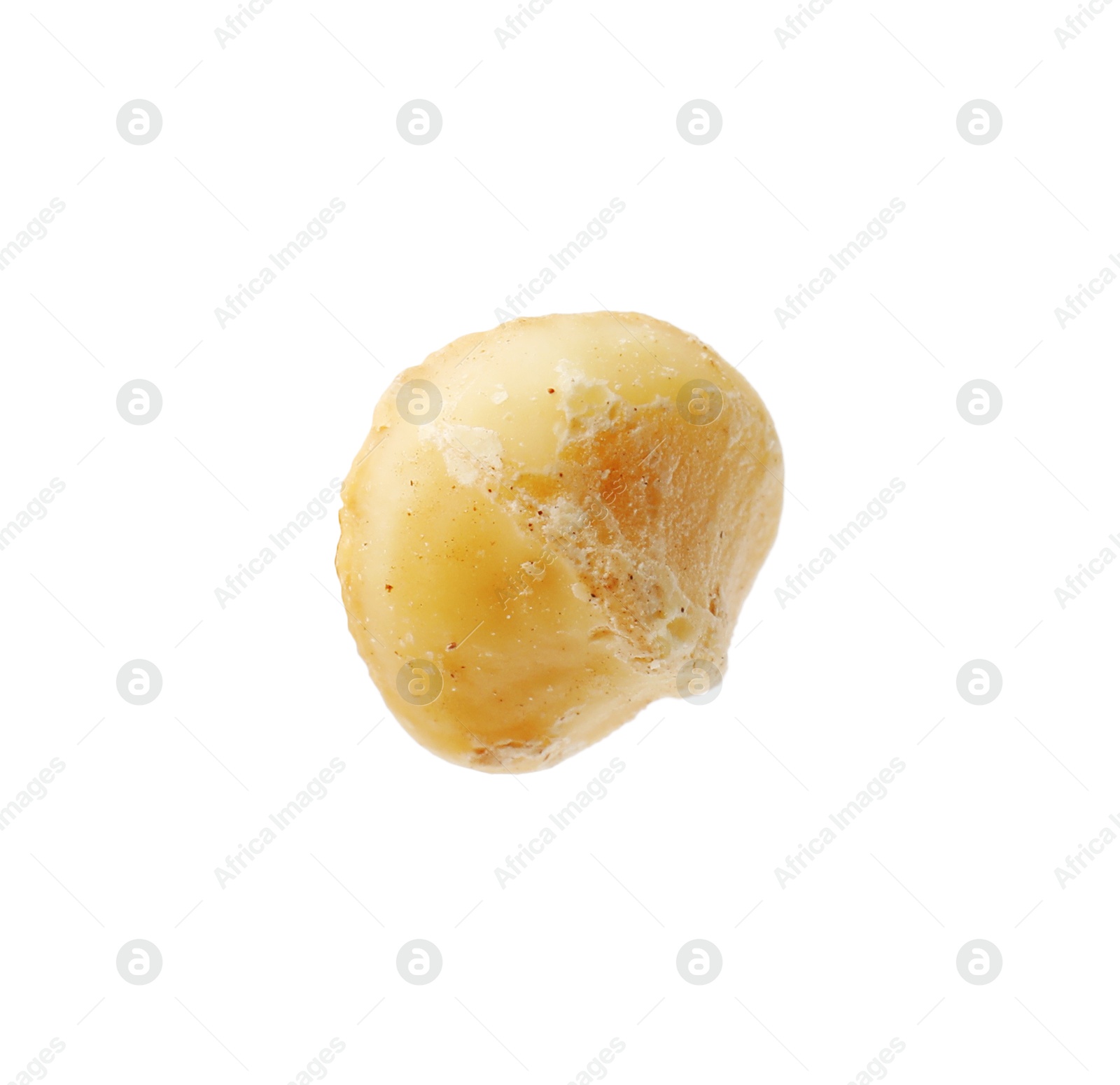 Photo of One peeled macadamia nut isolated on white