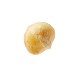 Photo of One peeled macadamia nut isolated on white