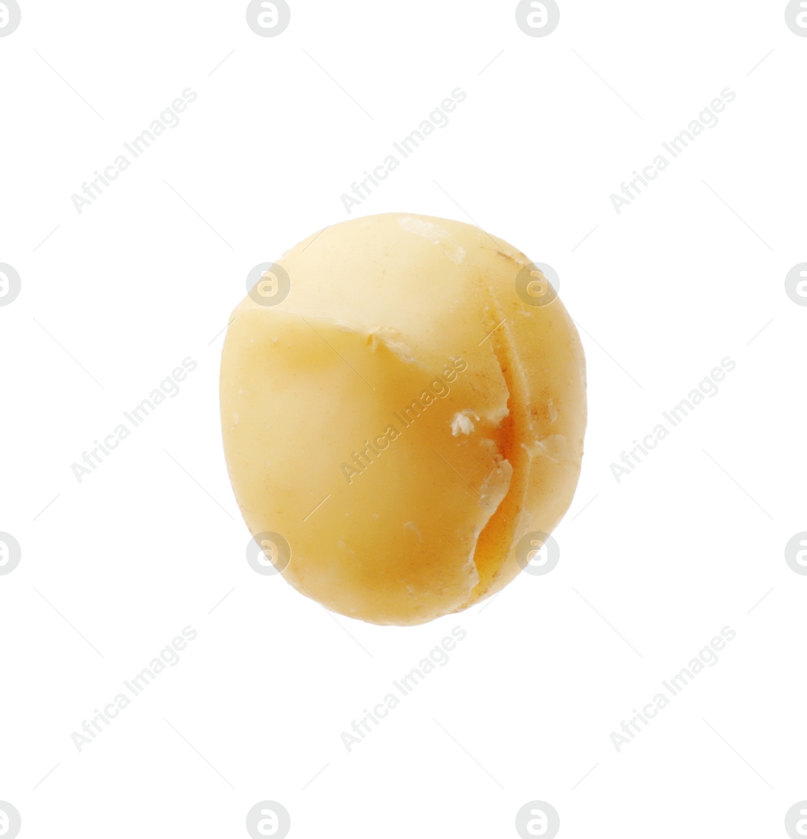 Photo of One peeled macadamia nut isolated on white