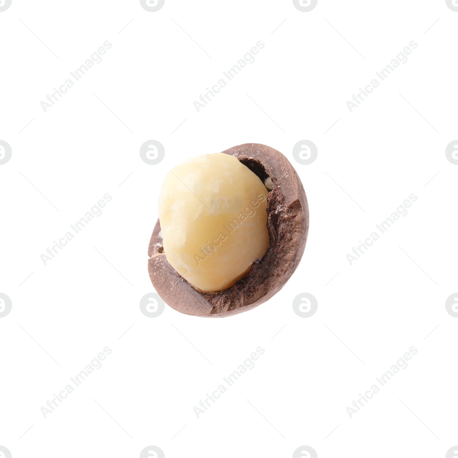 Photo of One macadamia nut with shell isolated on white