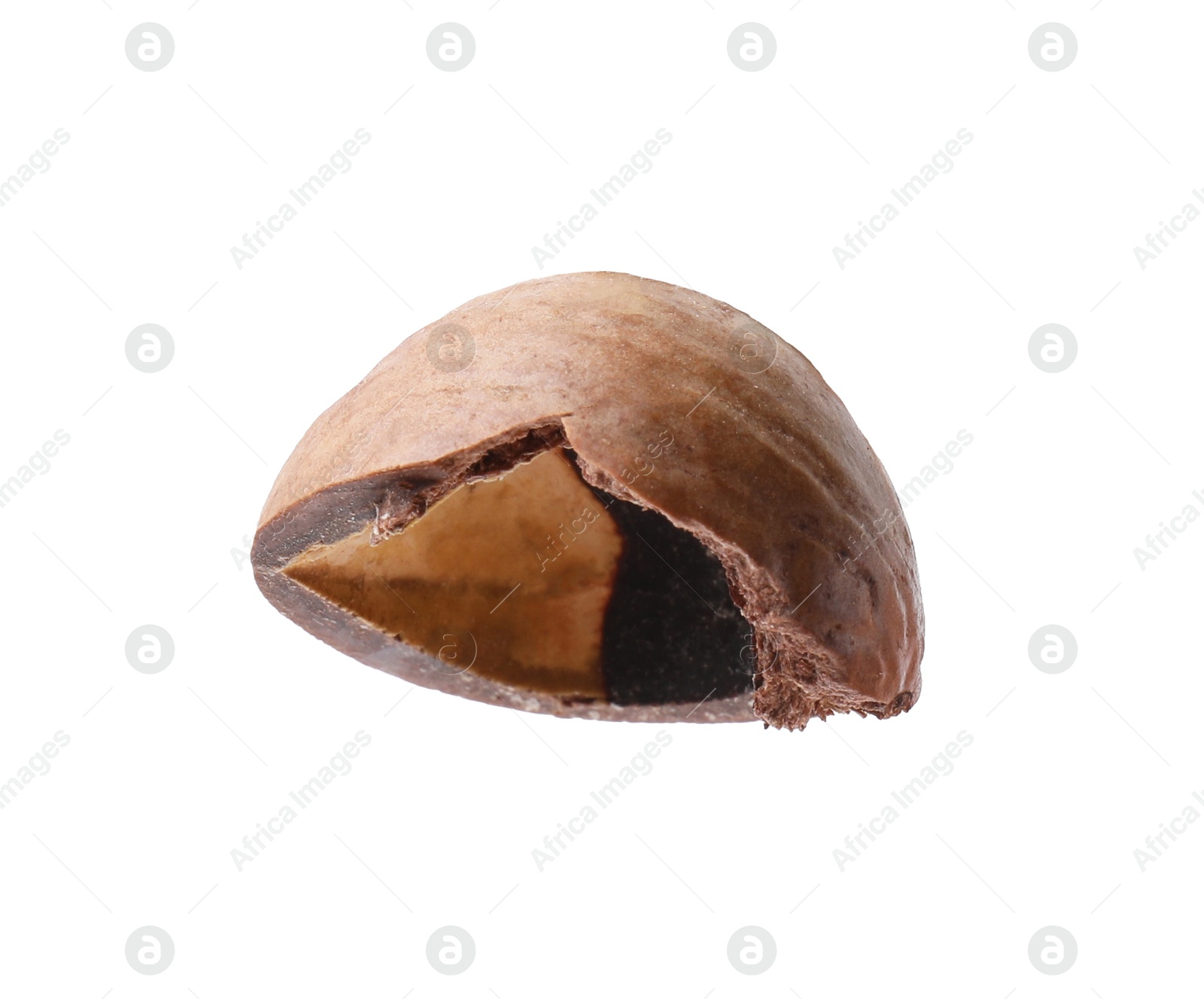 Photo of Piece of macadamia nut shell isolated on white