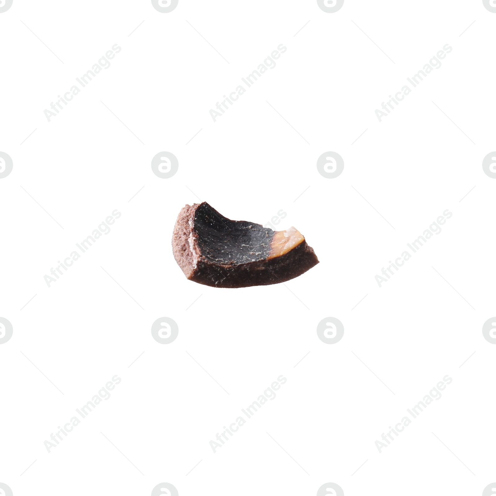 Photo of Piece of macadamia nut shell isolated on white