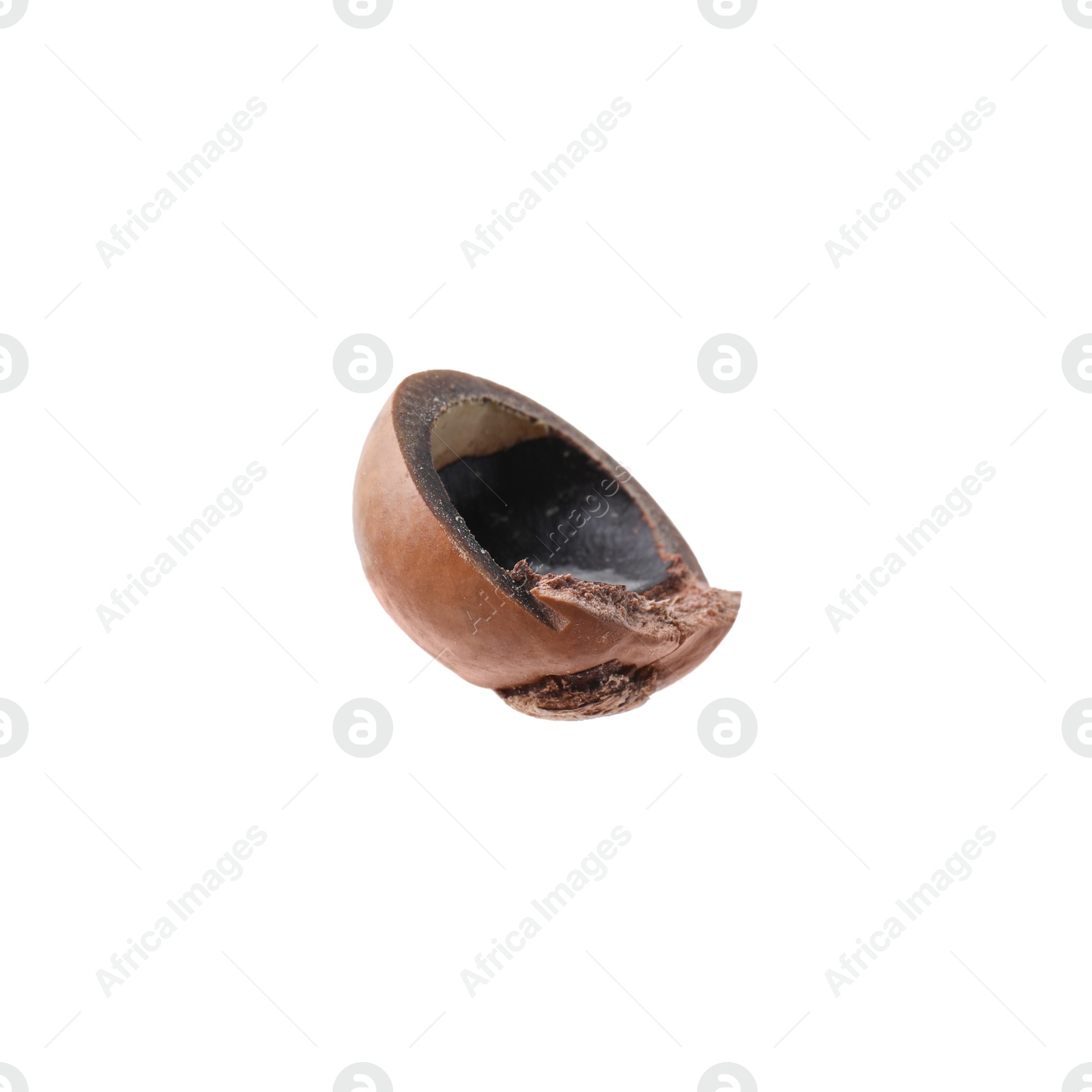 Photo of Part of macadamia nut shell isolated on white