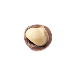 Photo of One macadamia nut with shell isolated on white