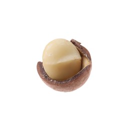 Photo of One macadamia nut with shell isolated on white