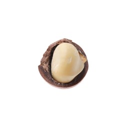 Photo of One macadamia nut with shell isolated on white