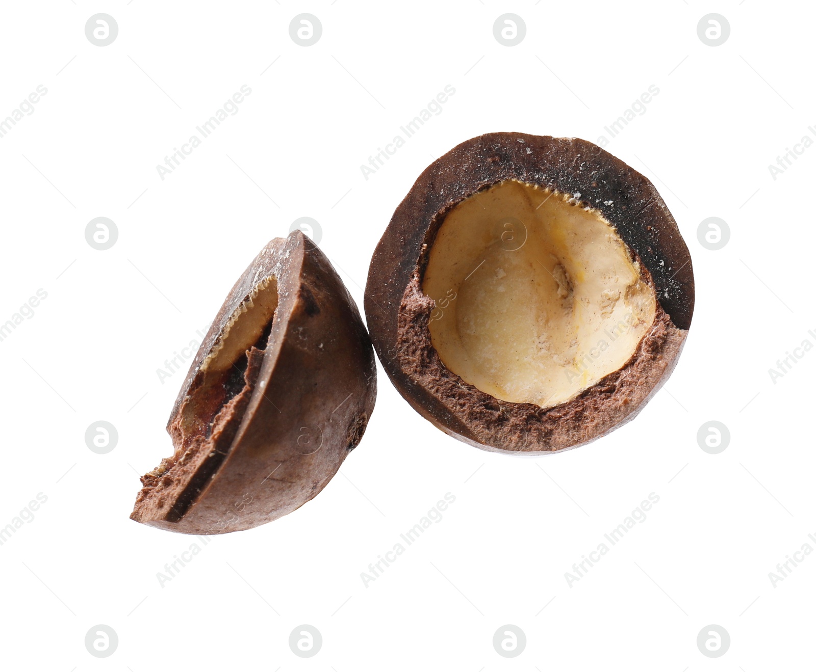 Photo of Part of macadamia nut shell isolated on white