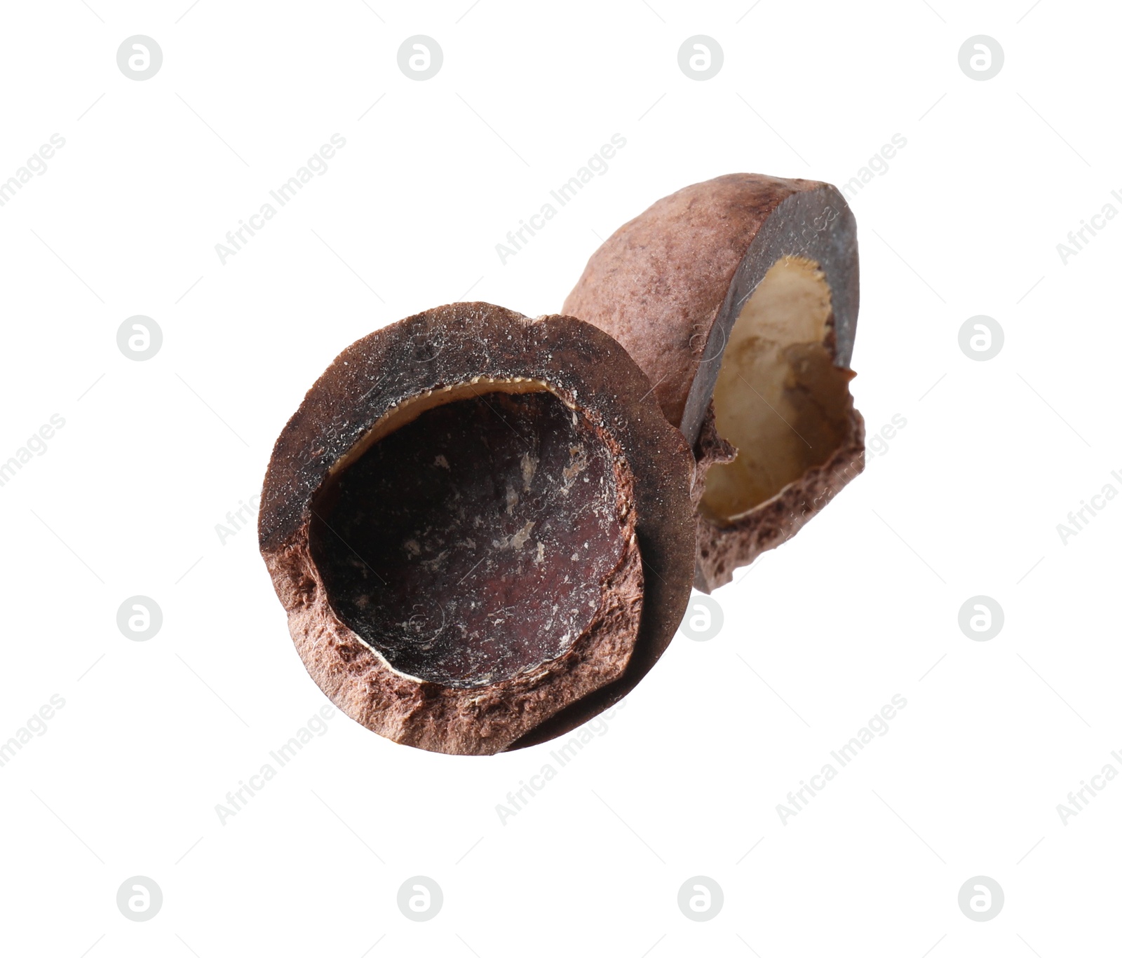 Photo of Part of macadamia nut shell isolated on white