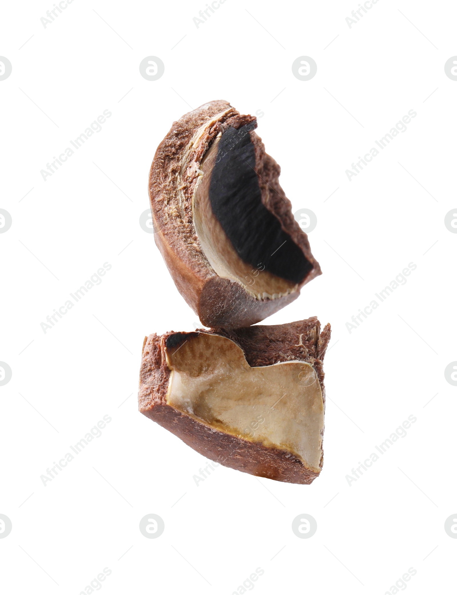 Photo of Piece of macadamia nut shell isolated on white