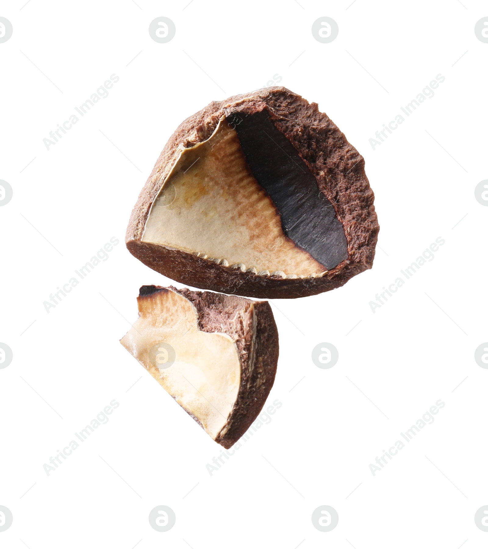 Photo of Piece of macadamia nut shell isolated on white