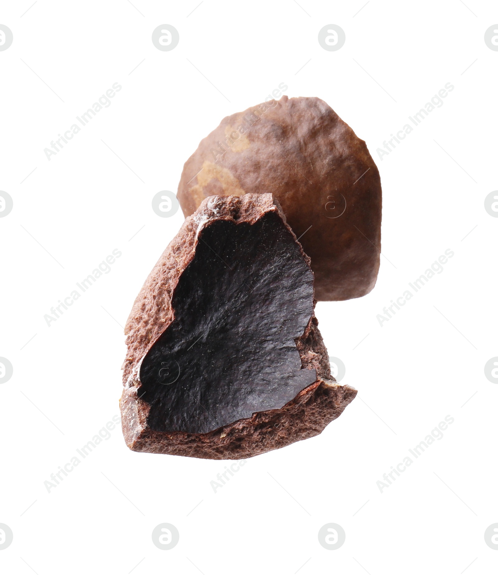 Photo of Piece of macadamia nut shell isolated on white