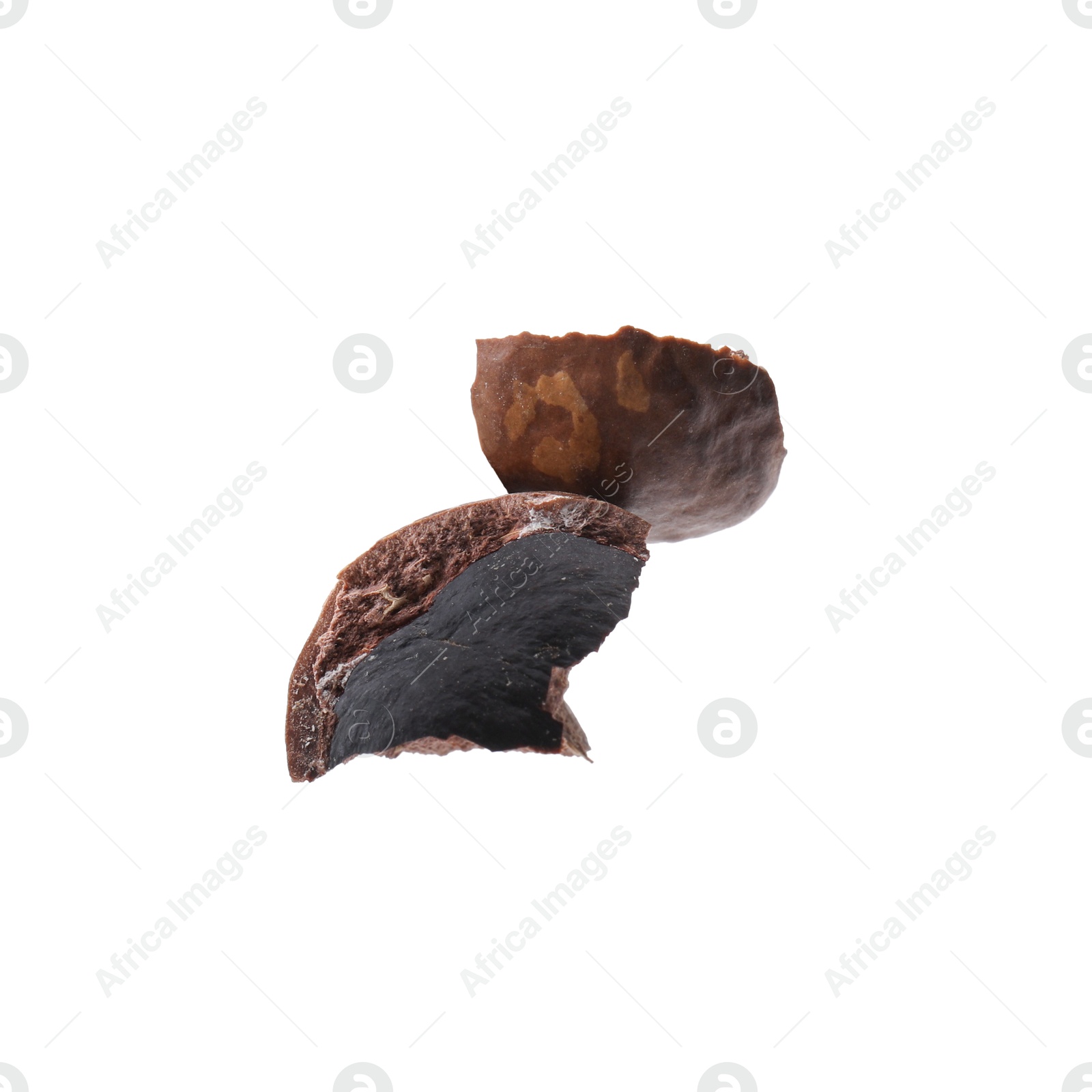 Photo of Piece of macadamia nut shell isolated on white