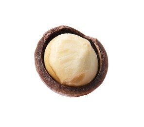 Photo of One macadamia nut with shell isolated on white