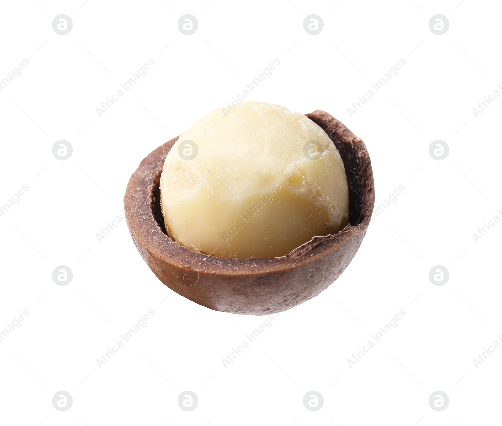 Photo of One macadamia nut with shell isolated on white