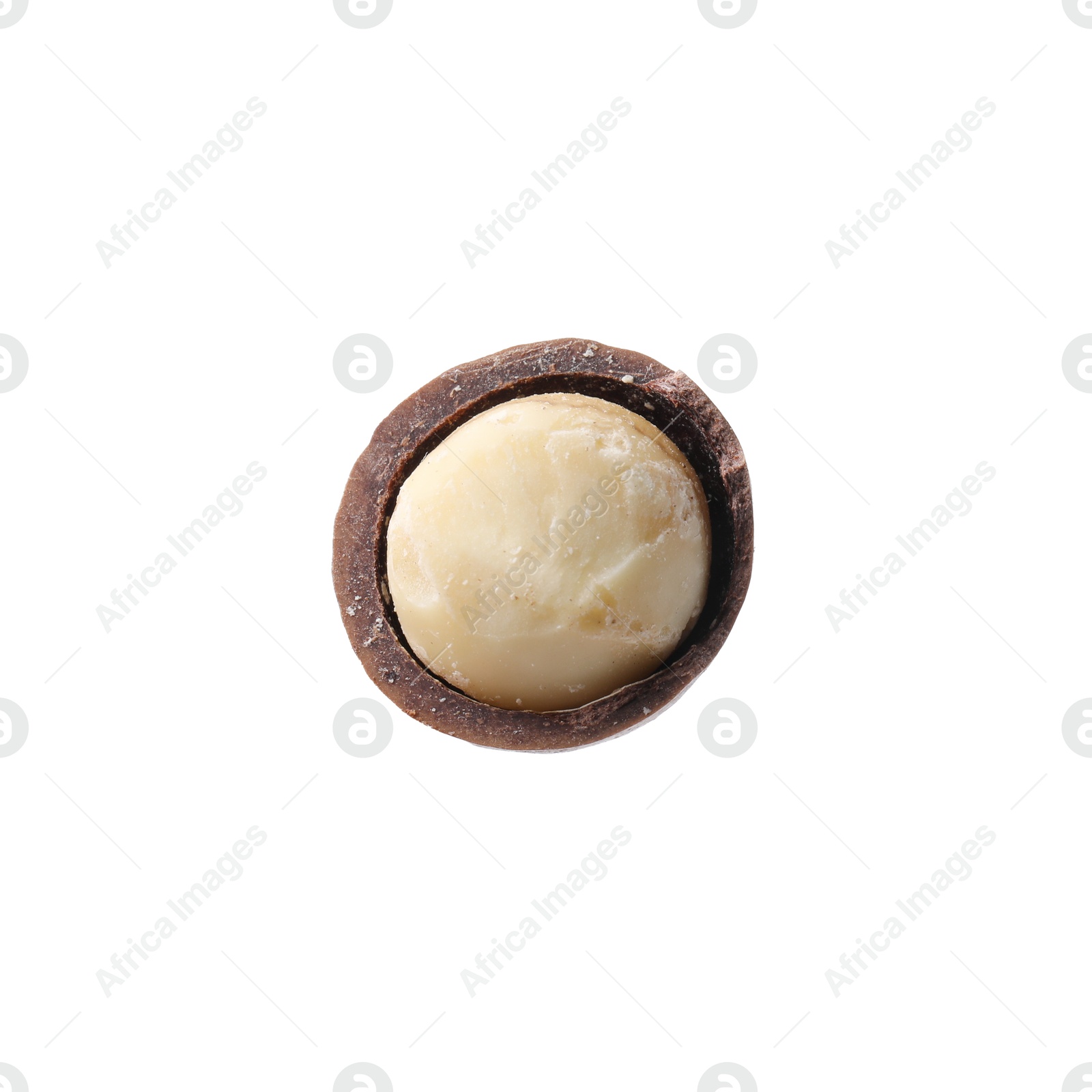 Photo of One macadamia nut with shell isolated on white