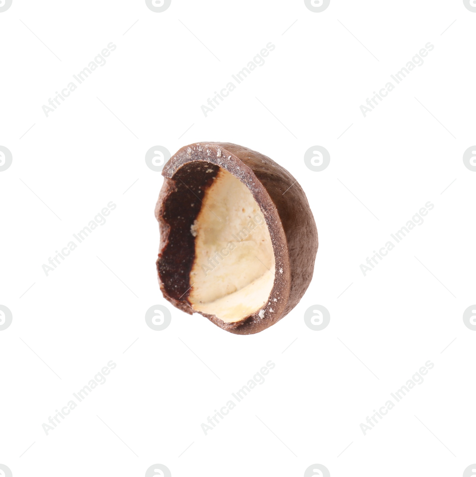 Photo of Part of macadamia nut shell isolated on white