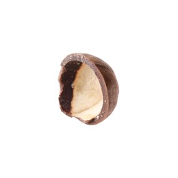 Photo of Part of macadamia nut shell isolated on white