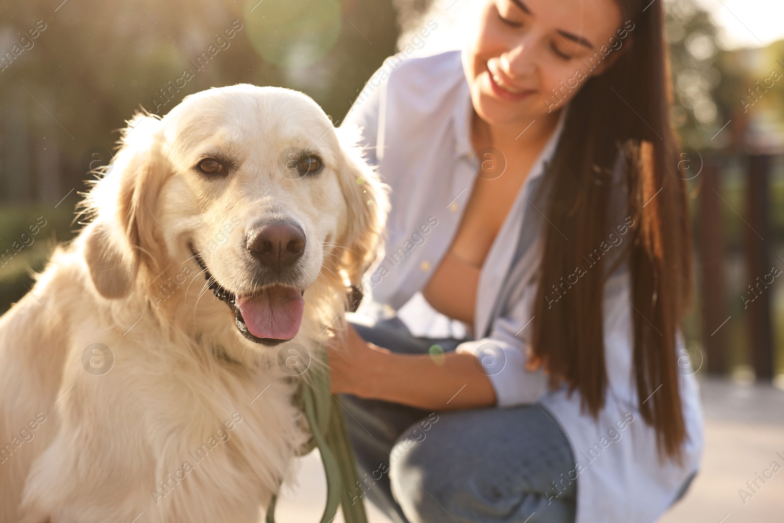 Photo of Happy owner with cute Golden Retriever dog outdoors on sunny day