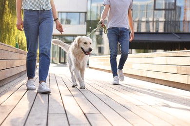 Photo of Couple walking with cute Golden Retriever dog outdoors on sunny day, closeup