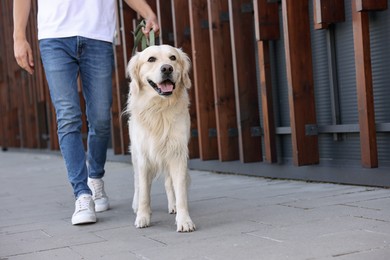 Photo of Owner walking with cute Golden Retriever dog outdoors, closeup. Space for text