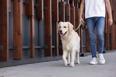 Photo of Owner walking with cute Golden Retriever dog outdoors, closeup. Space for text