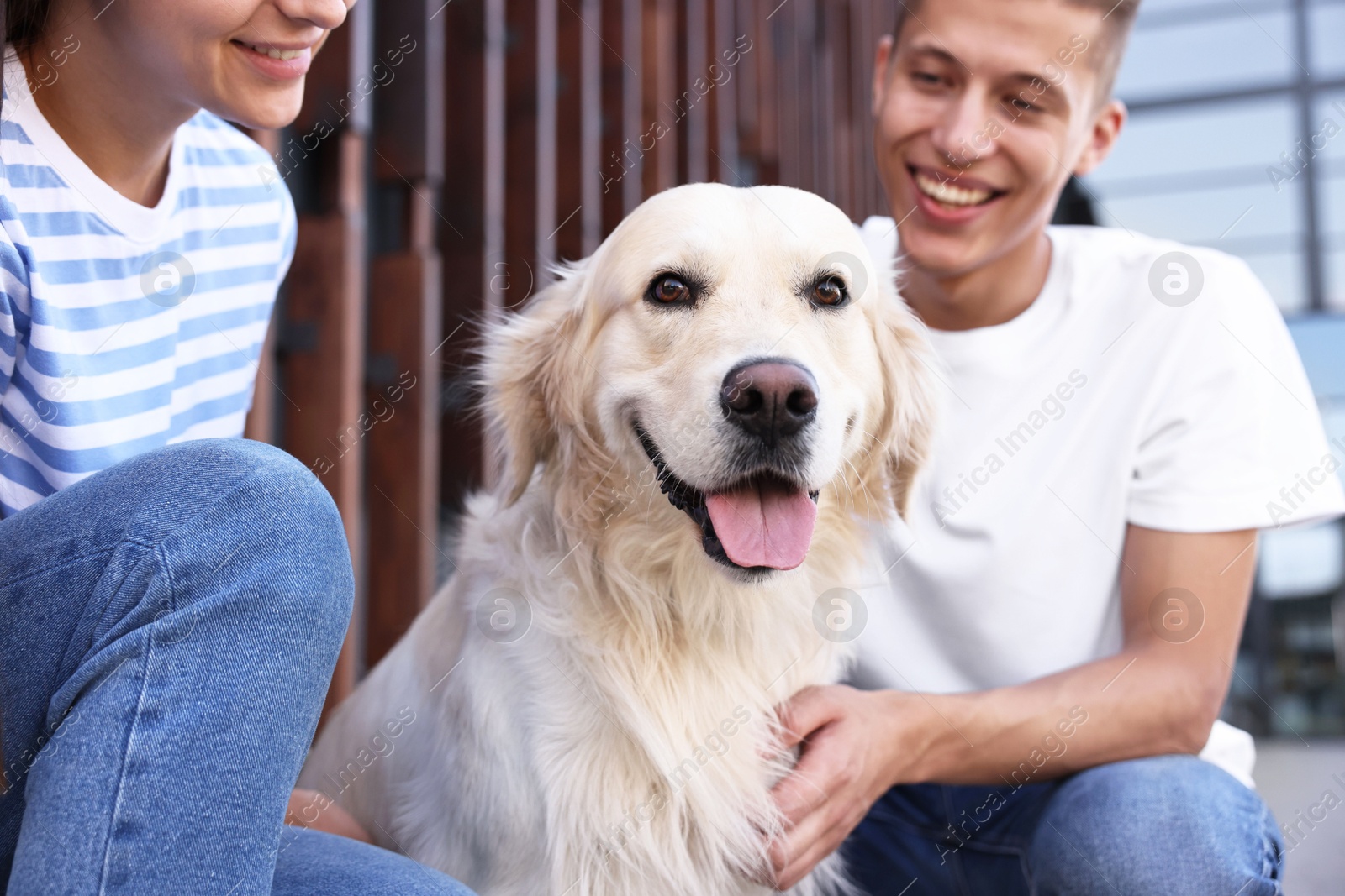 Photo of Happy couple with cute Golden Retriever dog outdoors, closeup