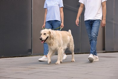 Photo of Couple walking with cute Golden Retriever dog outdoors, closeup. Space for text