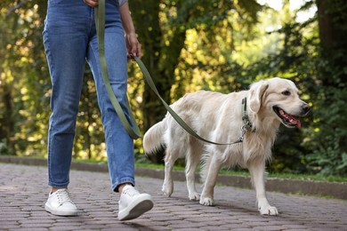 Photo of Owner walking with cute Golden Retriever dog outdoors, closeup