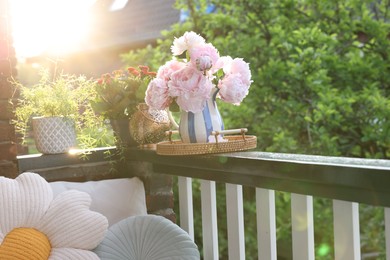 Balcony garden. Different plants on railings outdoors on sunny day