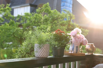 Balcony garden. Different plants on railings outdoors on sunny day