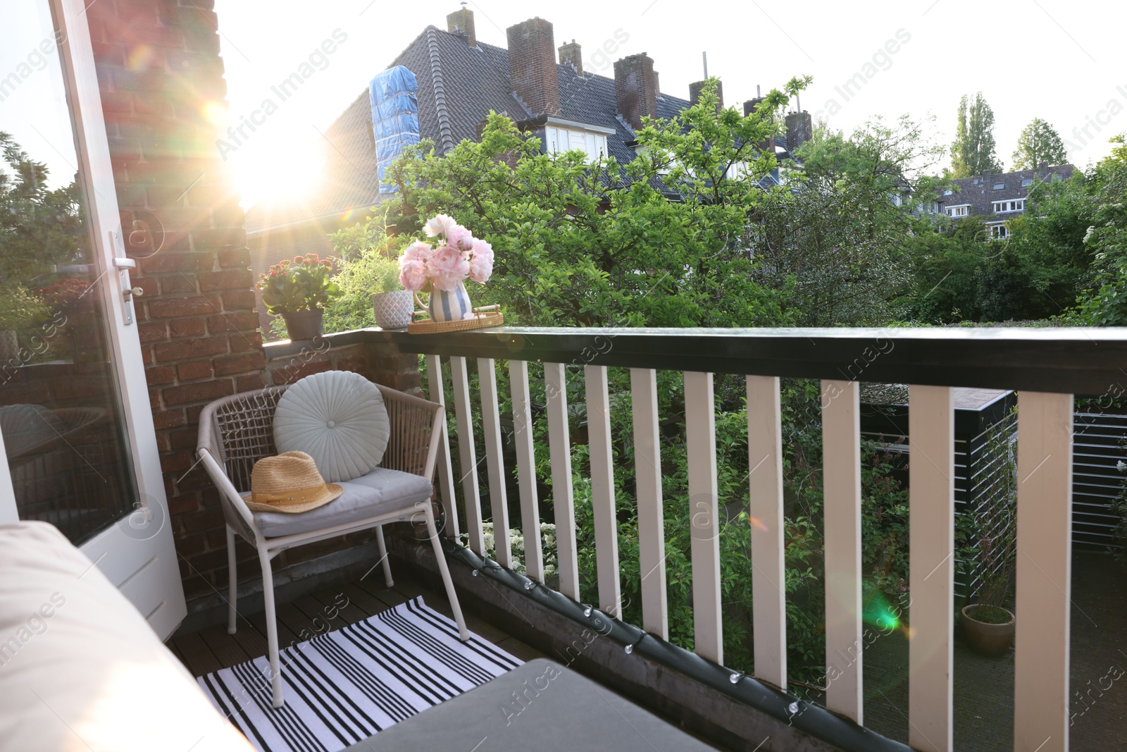 Photo of Different plants on railings and chair at cozy balcony outdoors