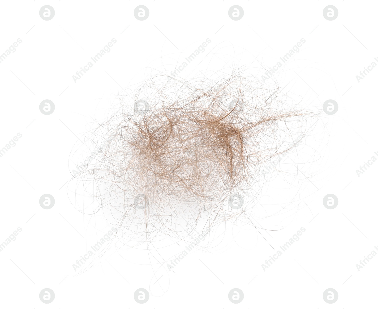 Photo of Pile of lost hair isolated on white, top view