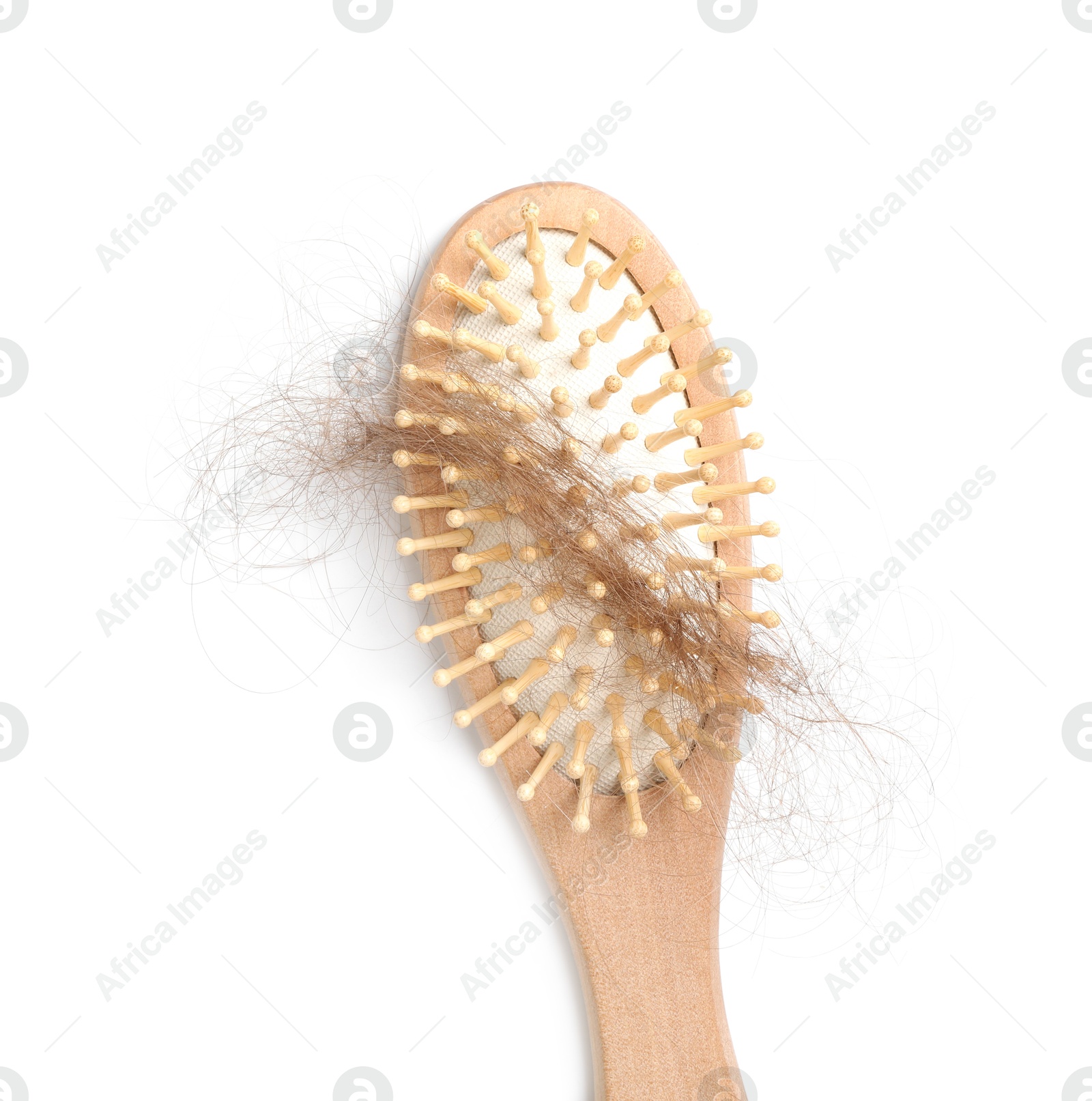 Photo of One brush with lost hair isolated on white, top view