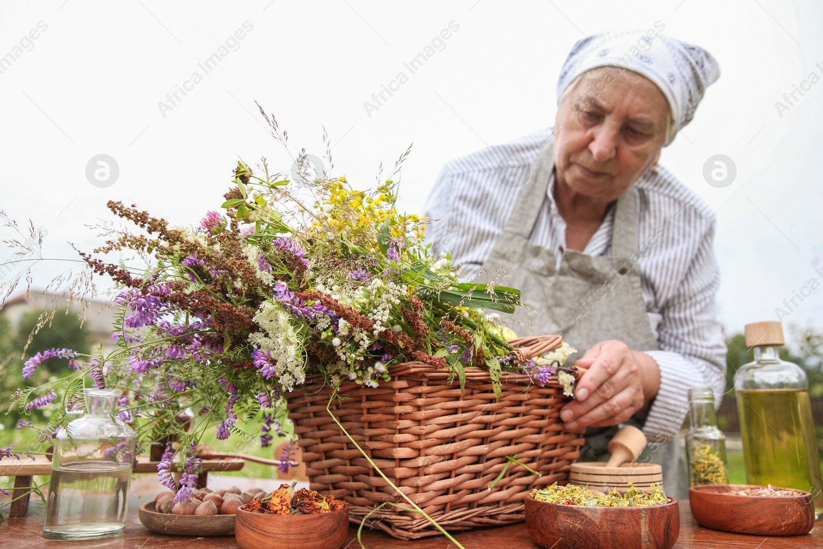 Photo of Senior woman with different ingredients for tincture outdoors, selective focus